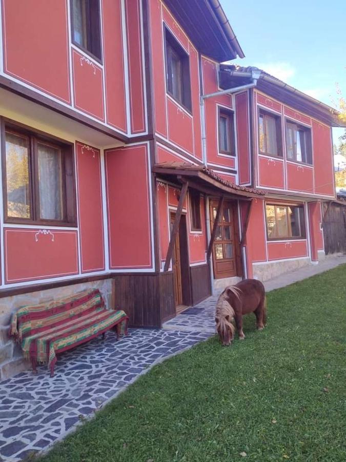 Стаи За Гости Дора Koprivsjtitsa Exteriör bild